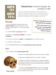 Link for handout is on the left.